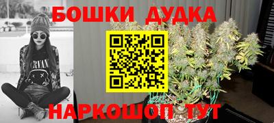 индика Татарск