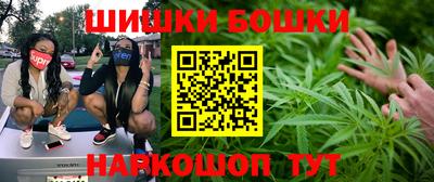 индика Татарск