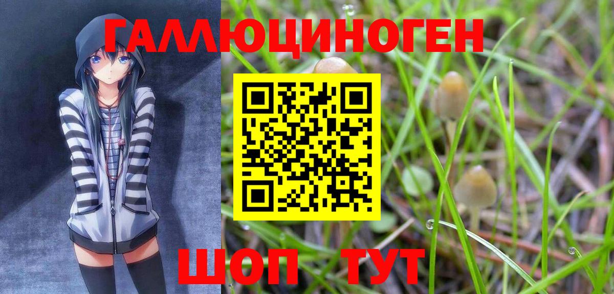 Галлюциногенные грибы прущие грибы  Вход с VPN  Новоуральск 